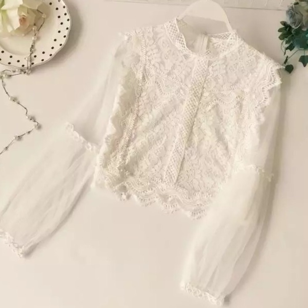 🌸HP🌸 Lace blouse mesh top puff sleeve blush pink white floral womens cropped